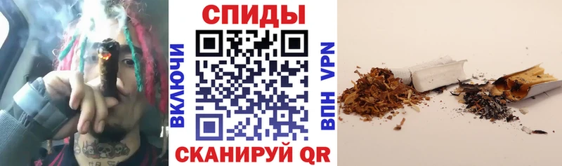 Купить где  Заринск  БУТИРАТ BDO 33% 