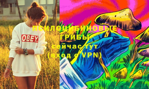 ГАЛЛЮЦИНОГЕННЫЕ ГРИБЫ Карталы