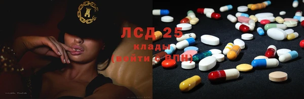 ГАЛЛЮЦИНОГЕННЫЕ ГРИБЫ Карталы