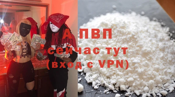 ГАЛЛЮЦИНОГЕННЫЕ ГРИБЫ Карталы