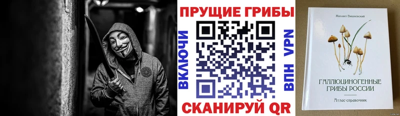 Галлюциногенные грибы Psilocybe  Купить где  Заринск 